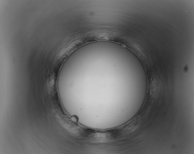 X0000116880314200912291248