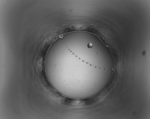 X0000116880319200912291247
