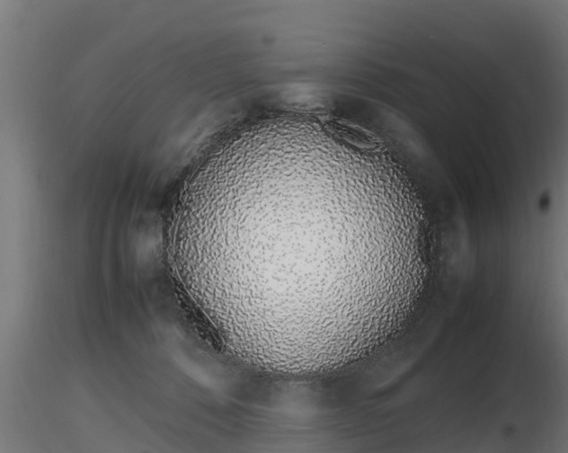 X0000116880320200912291247