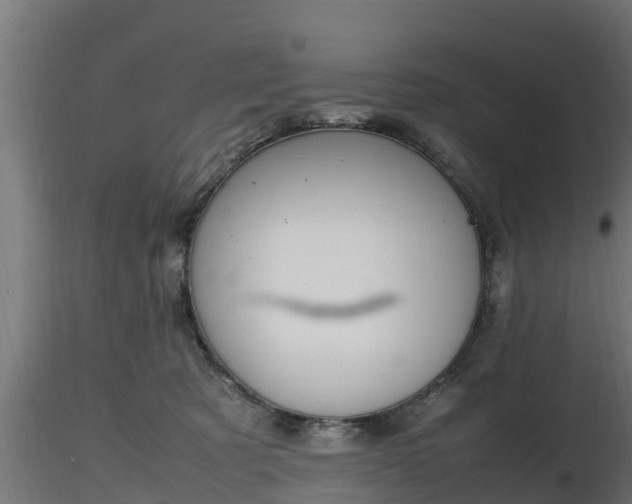 X0000116880321200912291247