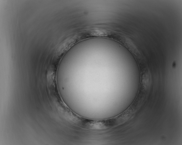 X0000116880322200912291247