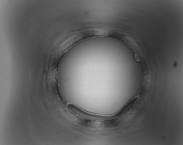 X0000116880325200912291247