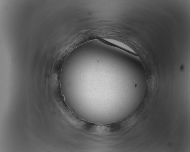 X0000116880327200912291247