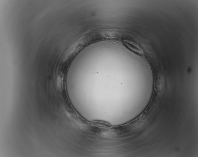 X0000116880332200912291247