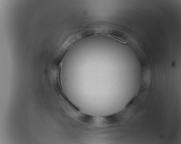 X0000116880333200912291247