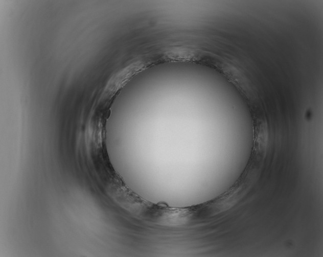 X0000116880334200912291247