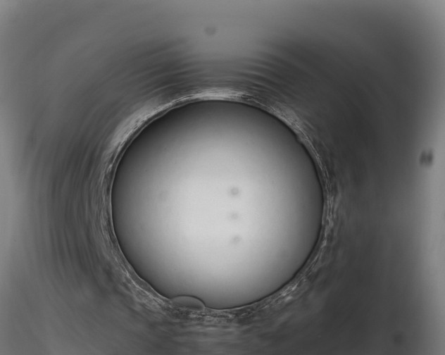 X0000116880337200912291247