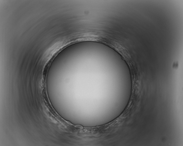 X0000116880338200912291247