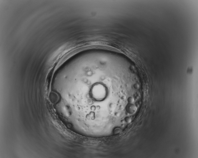 X0000116880339200912291247