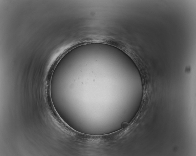 X0000116880342200912291247