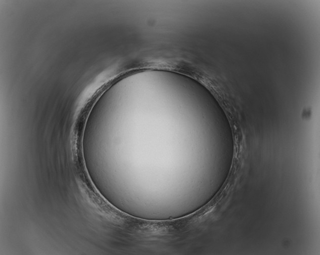 X0000116880343200912291247