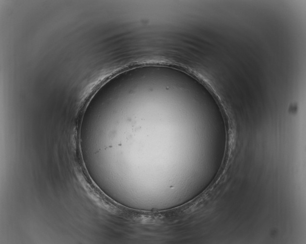 X0000116880345200912291247