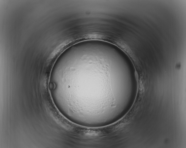 X0000116880347200912291247