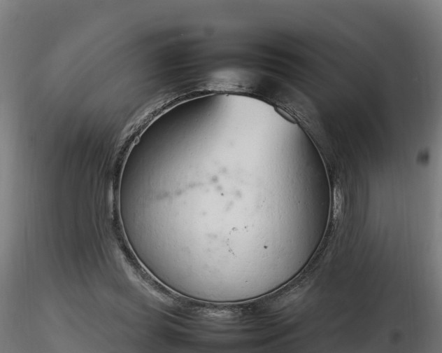 X0000116880349200912291247
