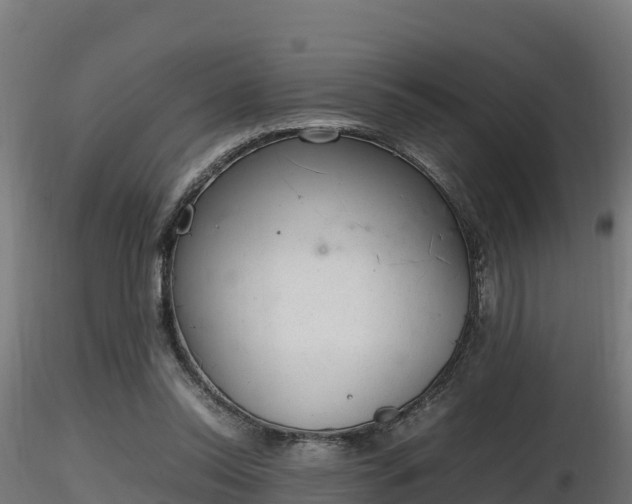 X0000116880350200912291247