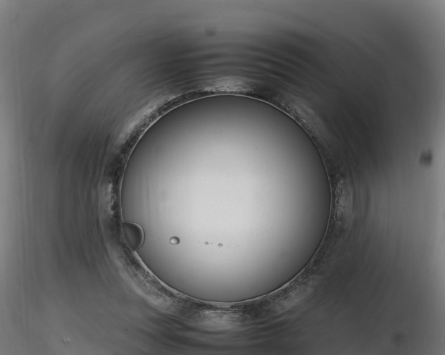 X0000116880351200912291247