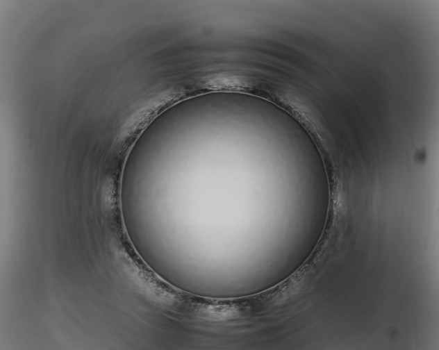 X0000116880353200912291247