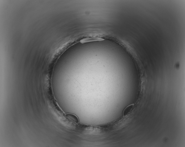 X0000116880354200912291247