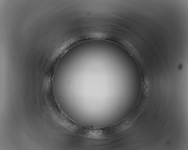 X0000116880355200912291247