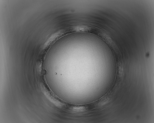 X0000116880357200912291247
