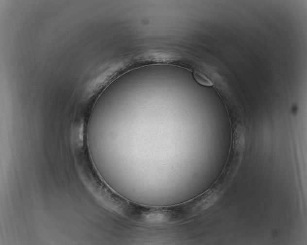 X0000116880358200912291247