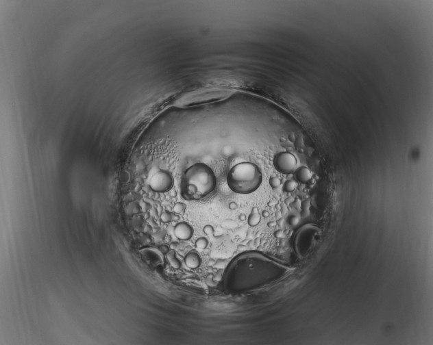 X0000116880359200912291247