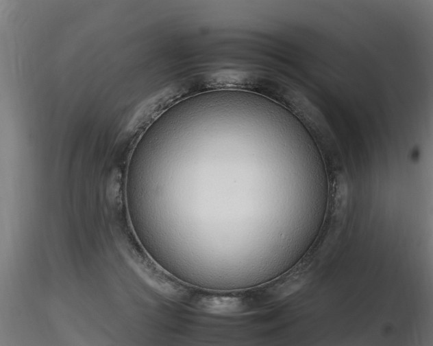 X0000116880361200912291247