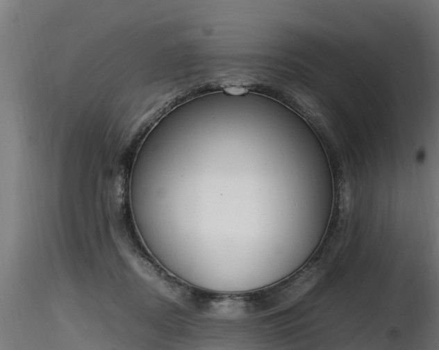 X0000116880362200912291247