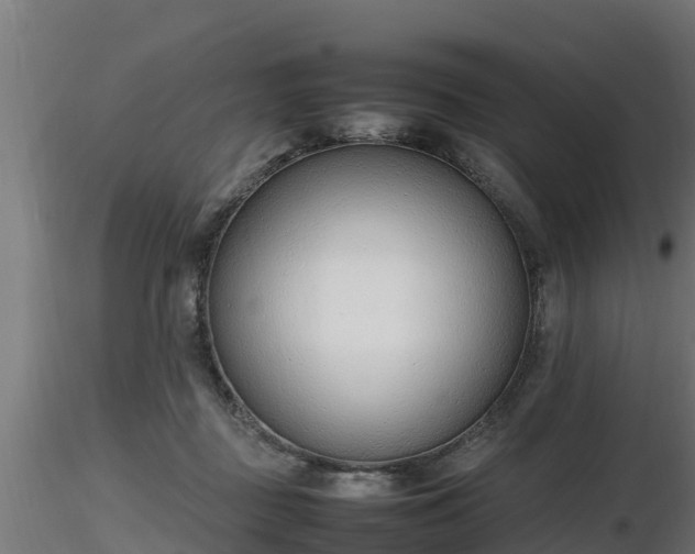 X0000116880363200912291247
