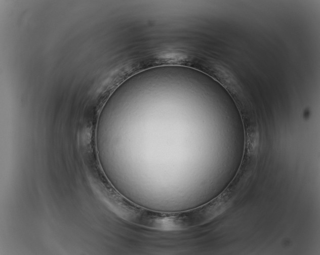 X0000116880365200912291247