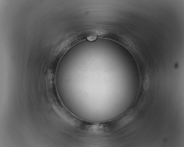 X0000116880366200912291247