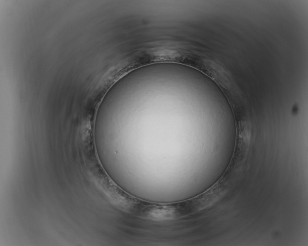 X0000116880369200912291247