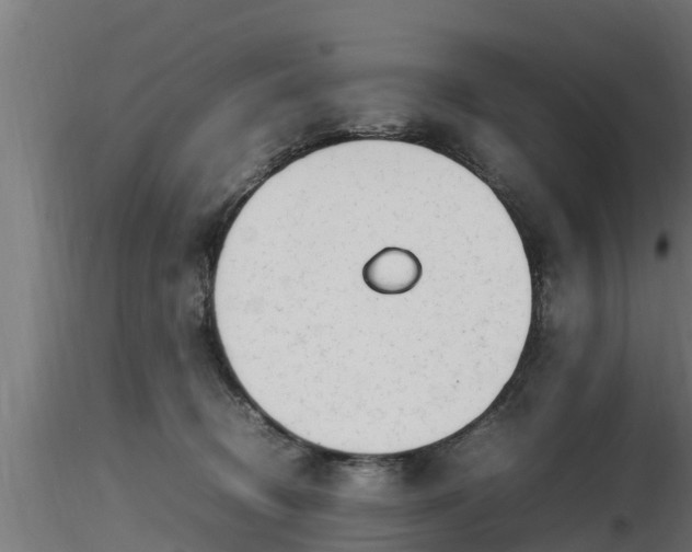 X0000116880370200912291247