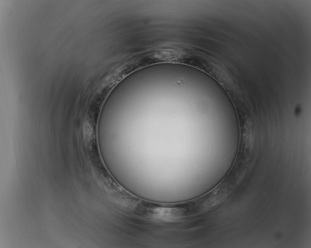 X0000116880371200912291247