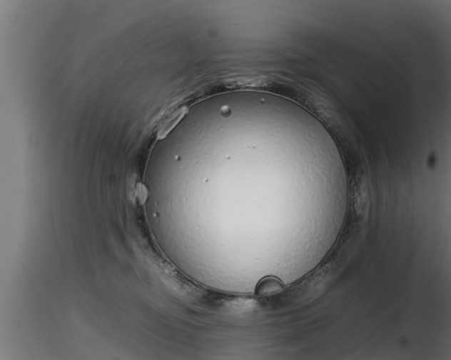 X0000116880374200912291247