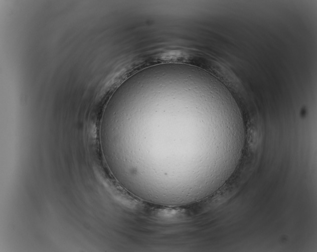 X0000116880375200912291247