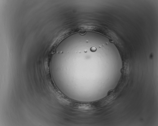 X0000116880377200912291247