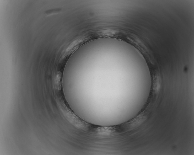 X0000116880378200912291247
