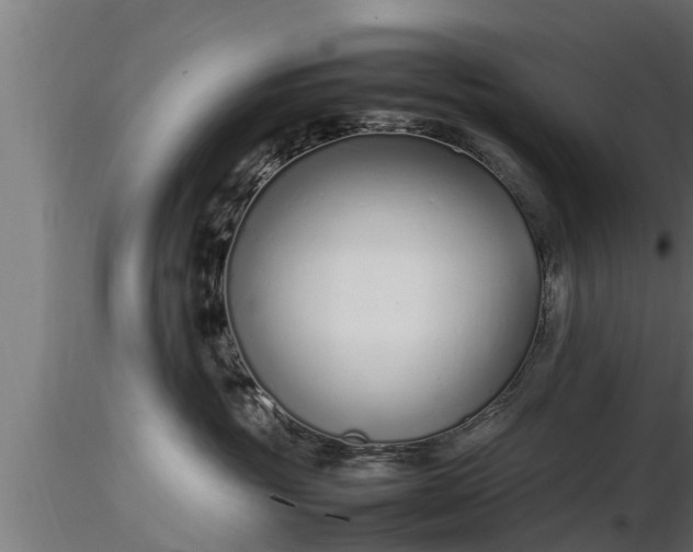 X0000116880381200912291247