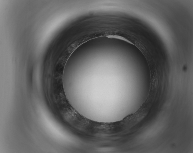 X0000116880383200912291247