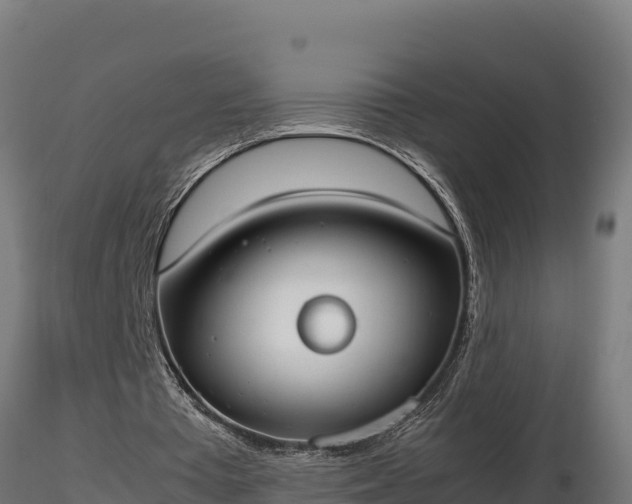 X0000116880385200912291247