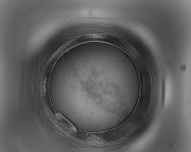 X0000116880387200912291247