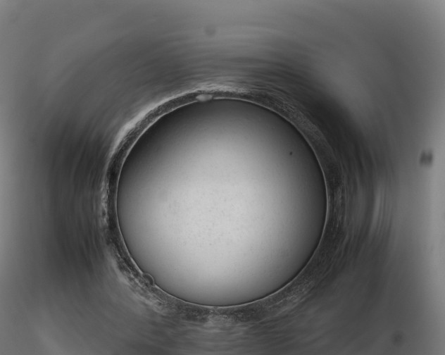 X0000116880388200912291247