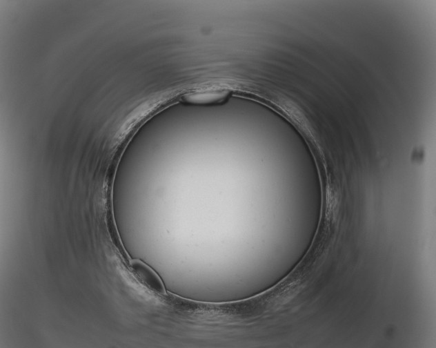 X0000116880389200912291247
