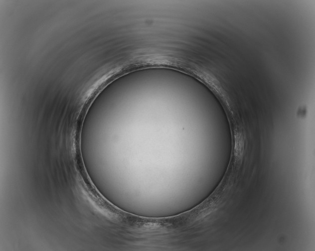X0000116880390200912291246