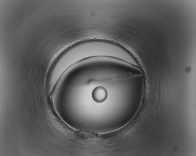 X0000116880391200912291246