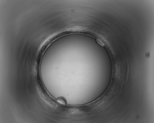 X0000116880392200912291246