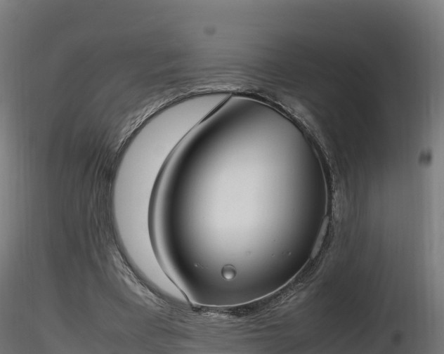 X0000116880393200912291246
