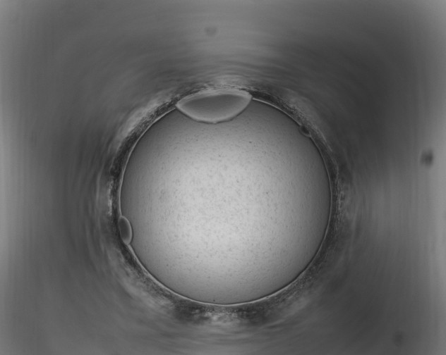 X0000116880395200912291246