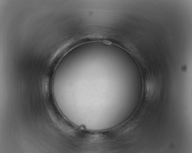 X0000116880396200912291246